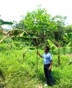 OGSAI Agro-Forestry Delivering environmental,