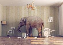 The elephant in the room: Not everyone wants to work or