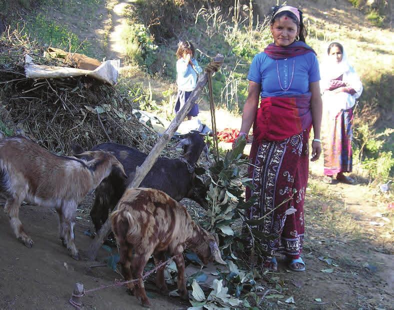 1. Livelihood Projects Sahakarya Sahakarya was a bilateral project (2003-2012) of the Canadian and Nepalese governments and is implemented in five districts (Jumla, Dailekh, and Surkhet in the Mid
