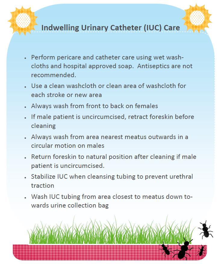 IUC Catheter