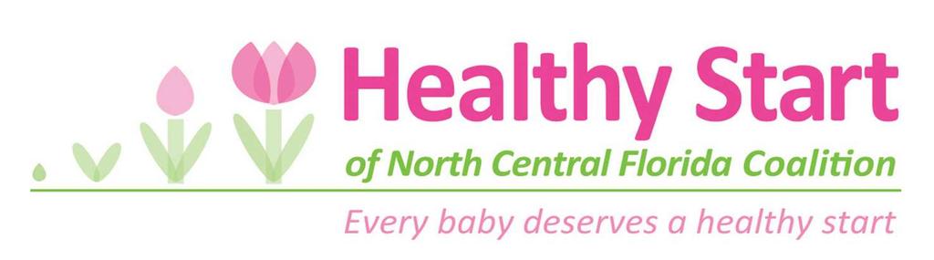 Experience Providing Similar Services Healthy Start of North Central Florida has been subcontracting with