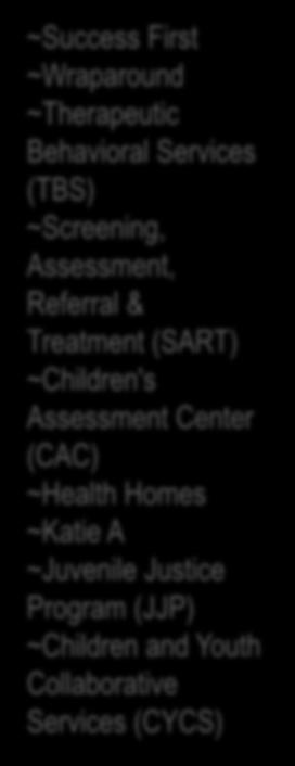 Assessment, Referral & Treatment (SART) ~Children's Assessment