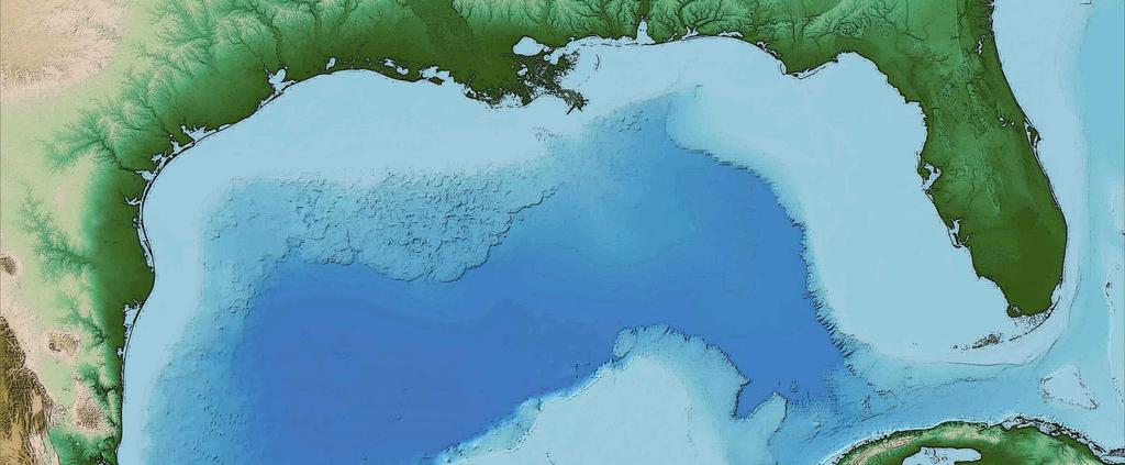 Gulf of Mexico Ecosystem Restoration: Using a Foundation of Ecological, Economic and Social Components
