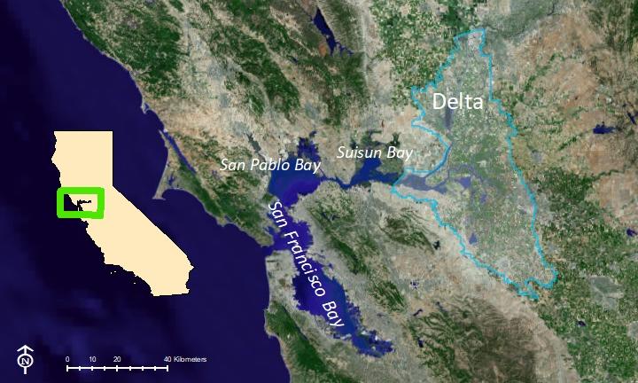 GOV Twitter: @DeltaCouncil The Delta Science Program will host three Sea Grant Fellows in 2019 Background The Sacramento San Joaquin Delta is part of the largest estuary on the West Coast, supplying