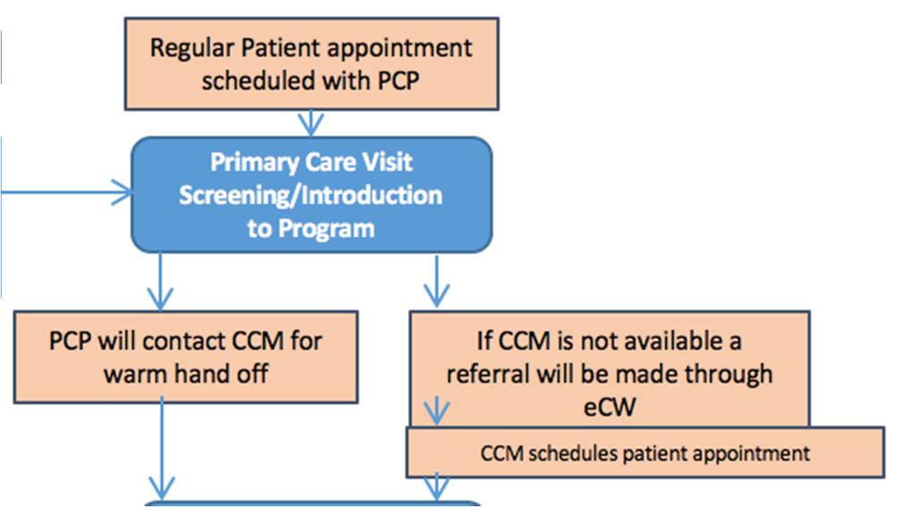 Primary Care Visit In the course of a normal primary care visit The PCP suspects or diagnoses depression 1. PCP introduces the program to the patient 2.