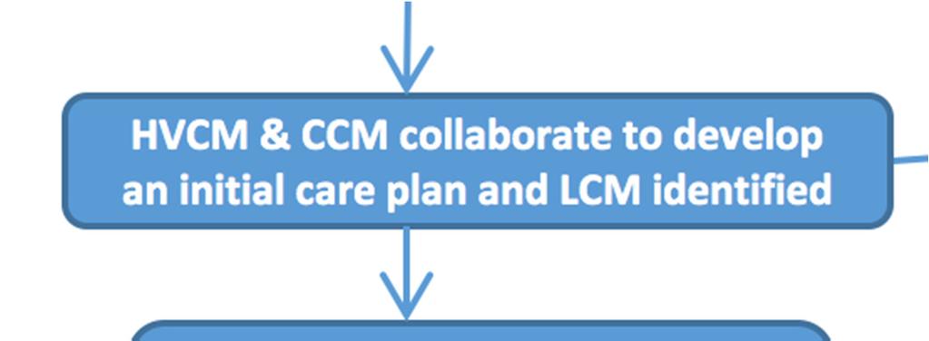 Initial Care Plan CCM and HVCM (Vicki and Diane) Meet in person or virtually/telemedicine Discuss patient s needs Make appropriate referrals Update ecw Update CMTS