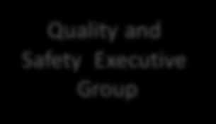 Finance Committee Audit Committee Quality and Safety Executive Group Clinical Director Structure Minister for Health Board of Directors Executive Council (Chair CEO) Clinical Director Forum (Chair