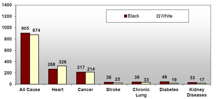 Somerset County Blacks or African Americans in Somerset County had higher mortality rates than Whites for allcause mortality and for five of top six causes of death.