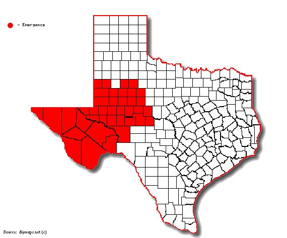 Emergence Health Network MHMR Services for the Concho
