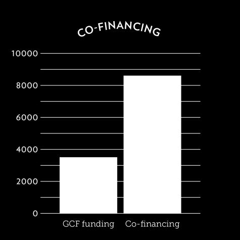 Figure 4: Instruments in the GCF portfolio and co-financing 35. More details on the projects and programmes approved to receive GCF funding as at 31 July 2018 are provided in annex VII.
