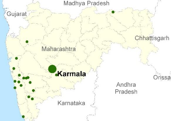 Karmala, Maharashtra 1 City Profile Karmala is a C class council located in Solapur district of Maharashtra. As per Census 2011, it has a population of 21933 and is spread over an area of 4.96 sq.km.