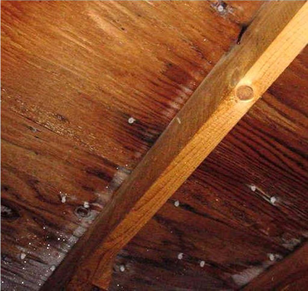 In the Attic 2 x 6 rafters with plywood decking. White dots are frost on nail points.