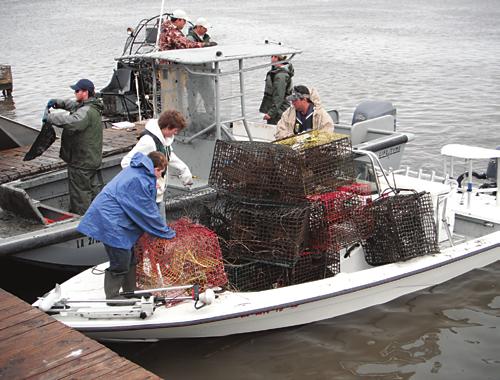 Volunteers Needed to Remove Derelict Crab Traps Louisiana s near-shore waters face a ghostly problem.