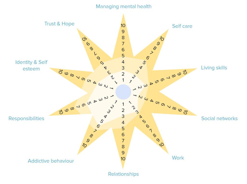 The Recover Star Method One method which has seen much success in the industry is the Recovery Star method. A 10-point questionnaire is provided to both the care giver and also the service user.