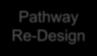 Pathway Re-Design TOPICS: Patient Referral Patient Selection Preoperative
