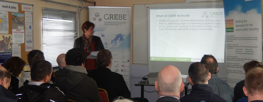 GREBEs Entrepreneur Enabler Scheme The rather grand title of Entrepreneur Enabler Scheme (EES) refers to the intervention undertaken by Fermanagh & Omagh District Council within the GREBE project.