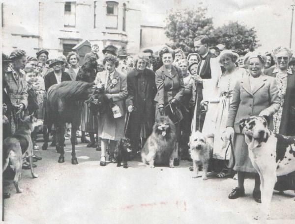 Our History... The charity was initially started by two sisters, Mrs E B Guard and Ms Agnes Grant who cycled around Plymouth collecting stray cats and later moved on to helping dogs.