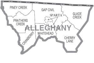 In Alleghany County, this report consists of an overview of demographics, health indicators, and leading causes of morbidity and mortality.