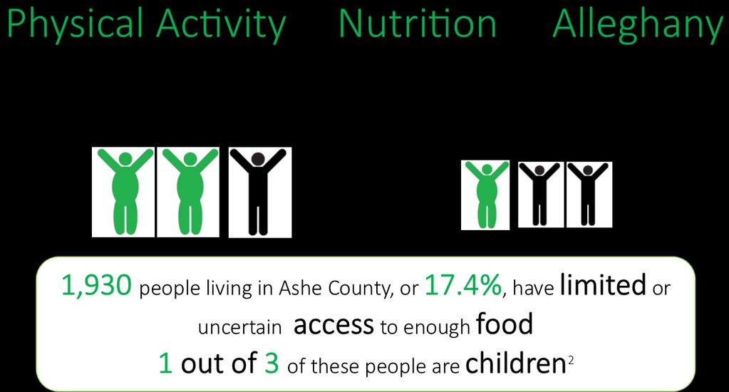 Health Priority #2: Physical Activity and Nutrition Local Community Objective 1. By June 30, 2017, decrease the number of children and adults who are overweight or obese by 2%.