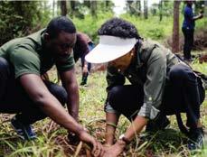 that the Rotary Club of Nairobi (RCN) team joined together in a plant your age tree event on 18th of November 2017 at Karura Forest to continue championing for the same.