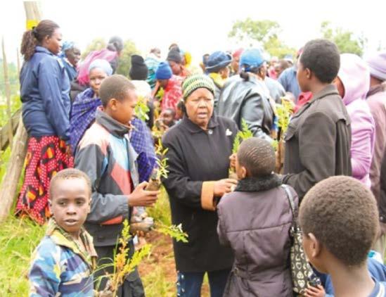 Past Lady Rotarian Alice Mugo giving tips on tree planting to the school children who turned up to assist us program which we intended so as to fulfill the DG s challenge on tree planting to Rotary