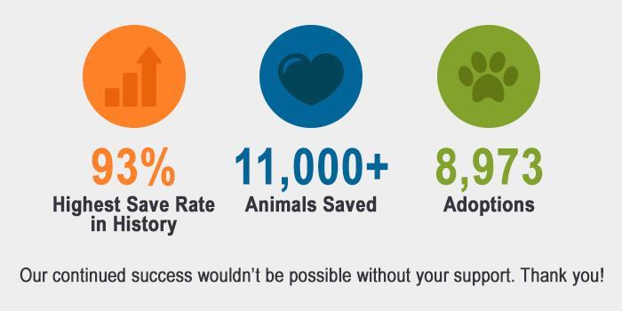 For over 128 years, the Kansas Humane Society has been committed to helping the abandoned and homeless animals in our community.