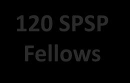 SPSP Fellows