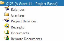 The following sections can all be accessed by clicking on the grant folder in the tree structure on the left side of the page.