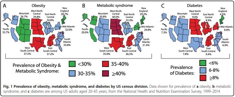 Target our Resources to Areas of High Disease Prevalence Midwest has the highest prevalence of adult metabolic syndrome, obesity, and diabetes Targeting of prevention and treatment for children