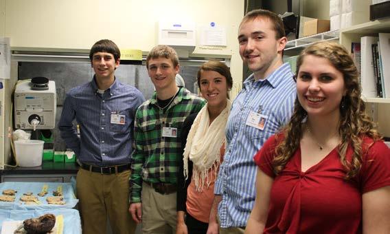 Making a Difference Finger Lakes Health employees mentored hundreds of students junior high, high school and college for 19,304 hours through observation/shadowing programs, career camps, the New