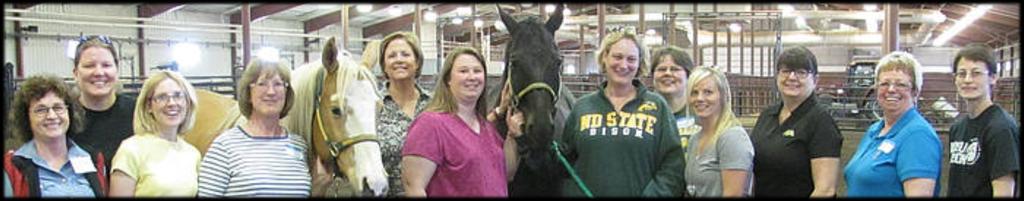 Discover U 2.0 Equine Guided Learning Monday, May 23, 2016, 1-4 p.m.
