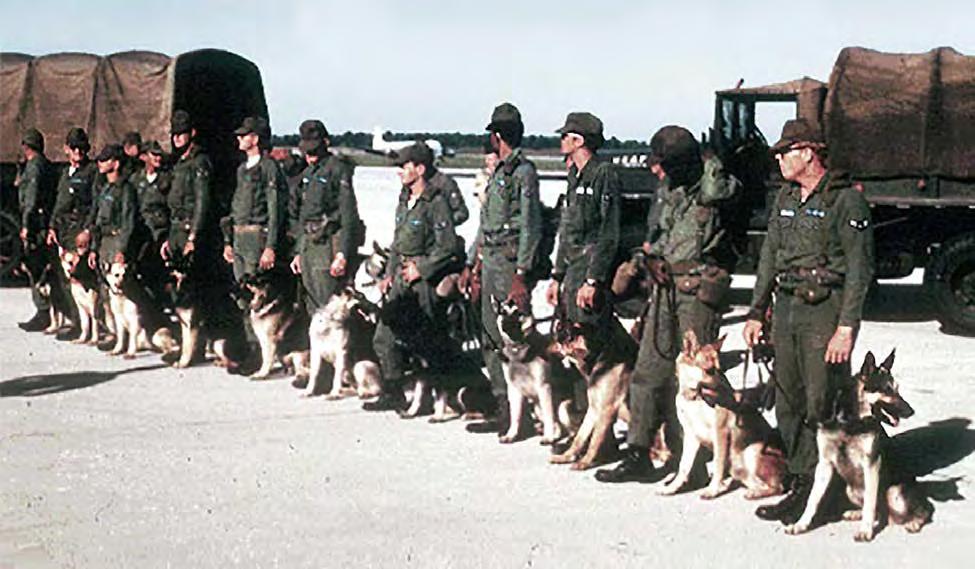 5.2_10-821st CSPS Scout Dogs and Handlers. 1969, Fort Campbell (below News Article, below) 5.