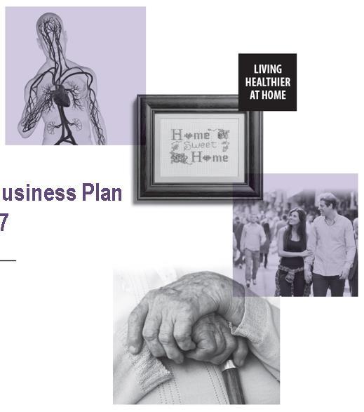 Annual Business Plan 2017/18