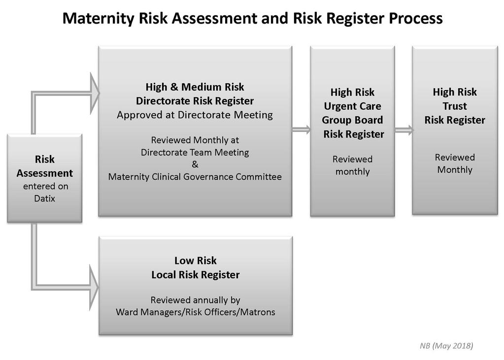 CG347 Maternity Risk Management Strategy May 2018 Appendix 5 Maternity Risk