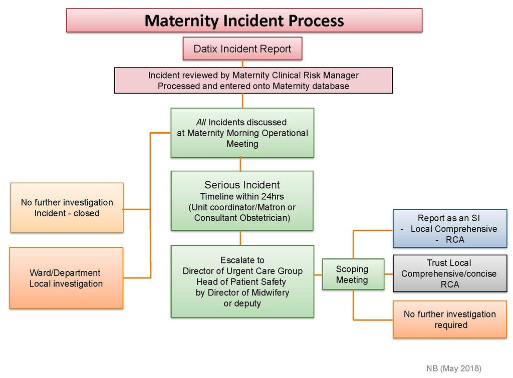 CG347 Maternity Risk Management Strategy May 2018 Appendix 7 Maternity Incident