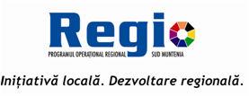 INNOVATION POLICY IN SOUTH MUNTENIA REGION Regional innovation strategy 2008-2013 Smart Specialization Strategies in Romanian regions Timisoara, April 2 nd, 2013 CONTENT South