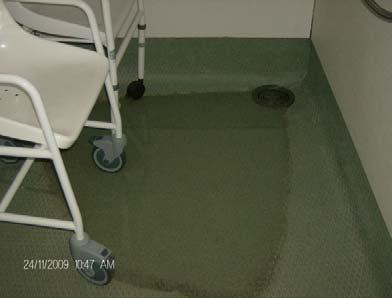 There was a drainage problem in one of the shower cubicles and as a result there was a stagnant pool