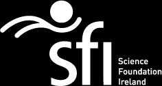 (12-6 mths) Please refer to the Guidance documentation for this call and to the SFI Grant Budget Policy in