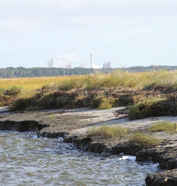 Using innovative technology to study the relationship between oyster and salt marsh habitat Georgia Sea Grant is funding a study by researchers at UGA s Odum School of Ecology that is using a