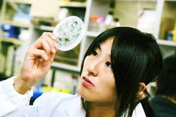 Tohoku University is well known for its research capabilities in semiconductor technology, an area that is very