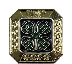 Your Year Pin will signify how long you ve participated in 4-H, while Project Pins will be awarded on