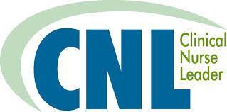 CNL-Integrated Nursing Care Delivery An innovative nursing model that integrates certified Clinical Nurse Leaders (CNL) into microsystem
