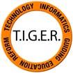 Vice President Informatics, HIMSS TIGER Vision Allow informatics tools, principles, theories and practices to be used by nurses to