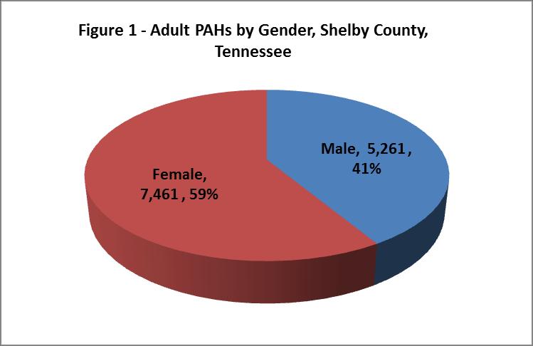 for 41 percent of this total, while adult female patients accounted for the remaining 59 percent (Figure 1).