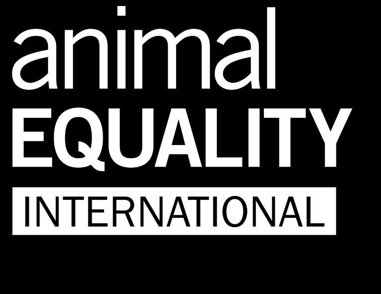 WHY WE RECOMMEND ANIMAL EQUALITY We think that Animal Equality does an exceptional job with the resources they possess.