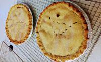 Come in and place an order for homemade pies - $18 per pie. Need a Lawyer?