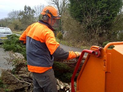 Trees and Timber prepare learners for jobs such as Tree Surgeon and ground worker.