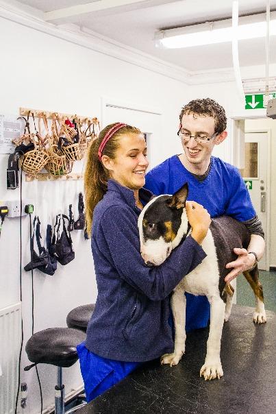 VETERINARY NURSING LEVEL 3 City & Guilds Level 3 Diploma with Advanced Apprenticeships Veterinary Nursing learners must be employed at a practice registered with the