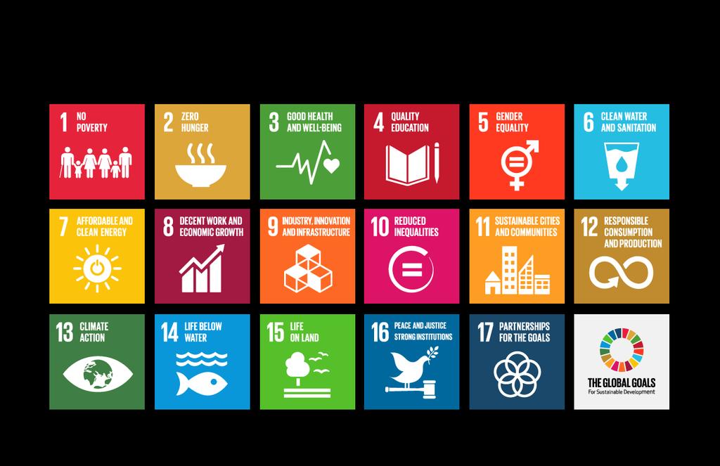 3 1. What are the Sustainable Development Goals?
