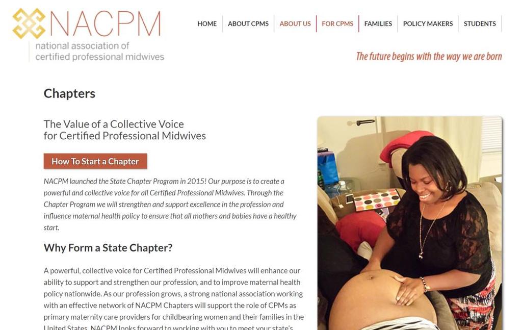 Understanding Midwives State organizations